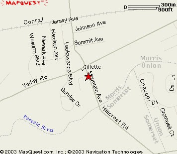 570 Mountain Avenue, Gillette NJ 07933